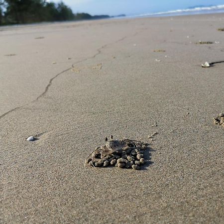 Samsuria Beach Apartment Resort Cherating Dış mekan fotoğraf